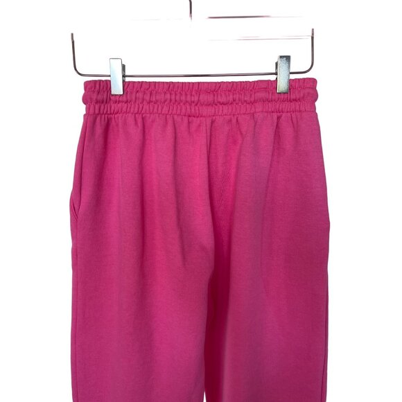 Zara Plush Jogger Sweatpants - Picture 5 of 5